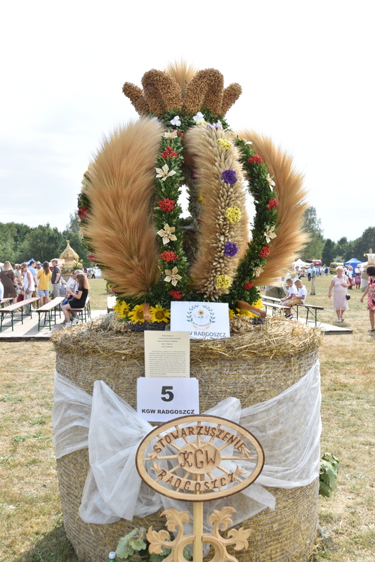 095 DSC 1048 Święto Powiśla Dąbrowskiego   Dożynki Powiatowe i Targi Gospodarcze   relacja