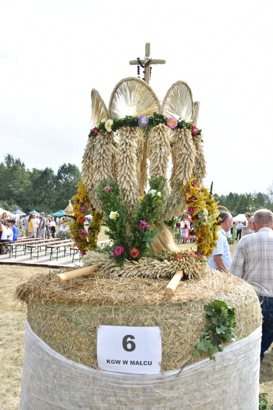 096 DSC 1049 Święto Powiśla Dąbrowskiego   Dożynki Powiatowe i Targi Gospodarcze   relacja