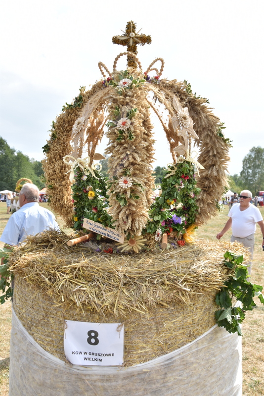 099 DSC 1055 Święto Powiśla Dąbrowskiego   Dożynki Powiatowe i Targi Gospodarcze   relacja