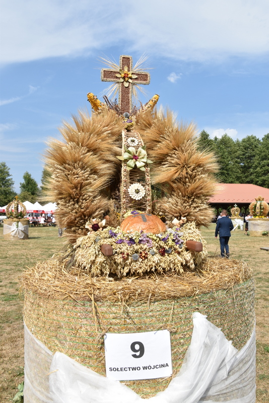 100 DSC 1057 Święto Powiśla Dąbrowskiego   Dożynki Powiatowe i Targi Gospodarcze   relacja