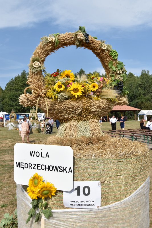 101 DSC 1058 Święto Powiśla Dąbrowskiego   Dożynki Powiatowe i Targi Gospodarcze   relacja