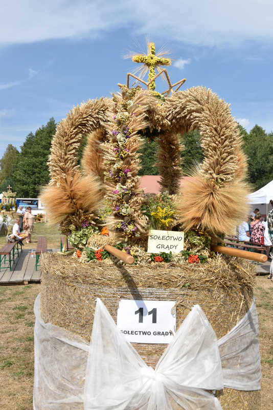 102 DSC 1059 Święto Powiśla Dąbrowskiego   Dożynki Powiatowe i Targi Gospodarcze   relacja