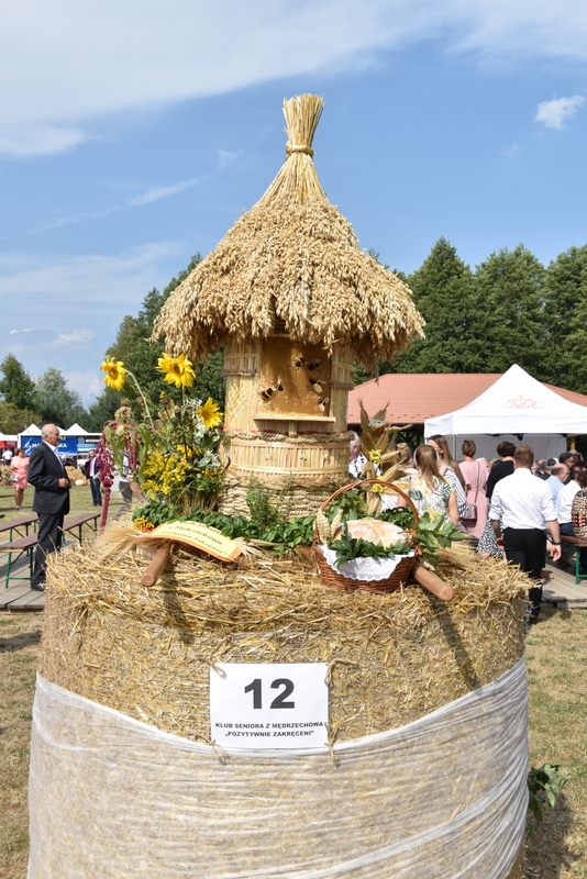103 DSC 1060 Święto Powiśla Dąbrowskiego   Dożynki Powiatowe i Targi Gospodarcze   relacja