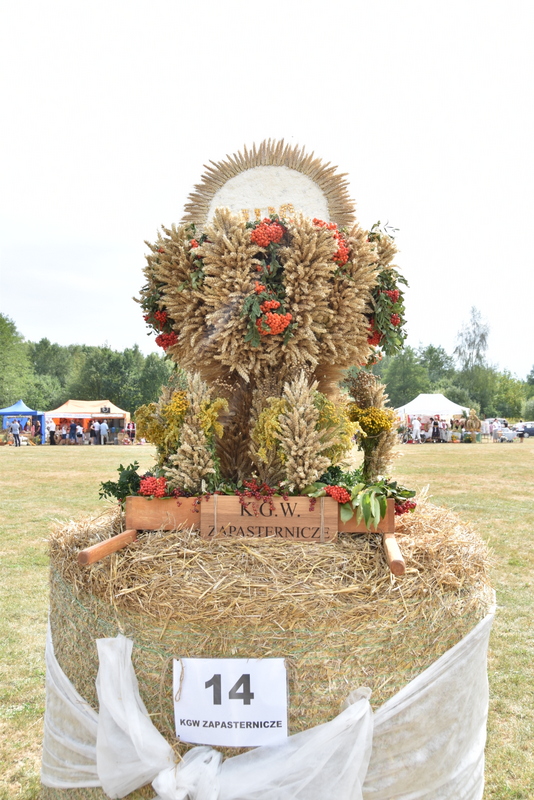 105 DSC 1062 Święto Powiśla Dąbrowskiego   Dożynki Powiatowe i Targi Gospodarcze   relacja