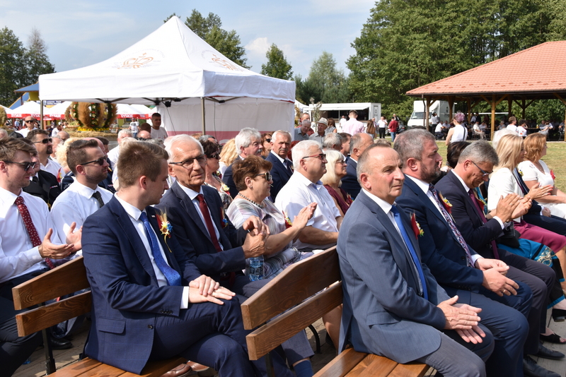 110 DSC 1070 Święto Powiśla Dąbrowskiego   Dożynki Powiatowe i Targi Gospodarcze   relacja