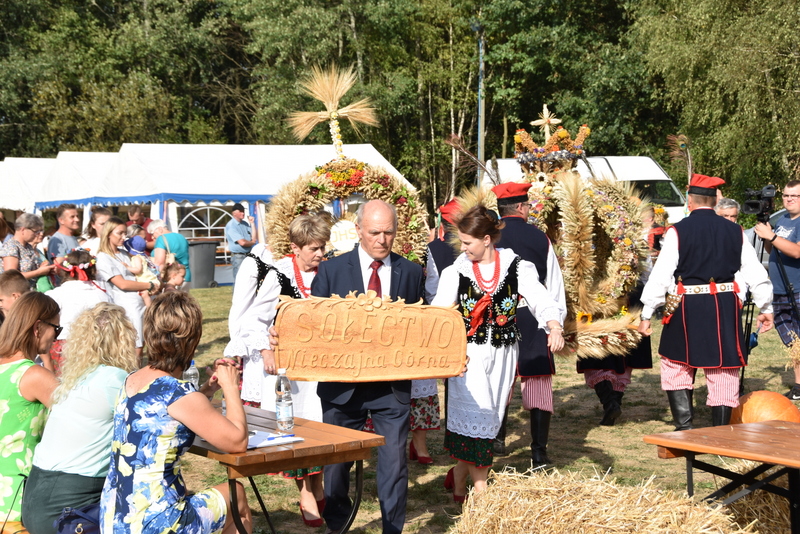 17 DSC 0071 Święto Powiśla Dąbrowskiego   Dożynki Powiatowe i Targi Gospodarcze   relacja