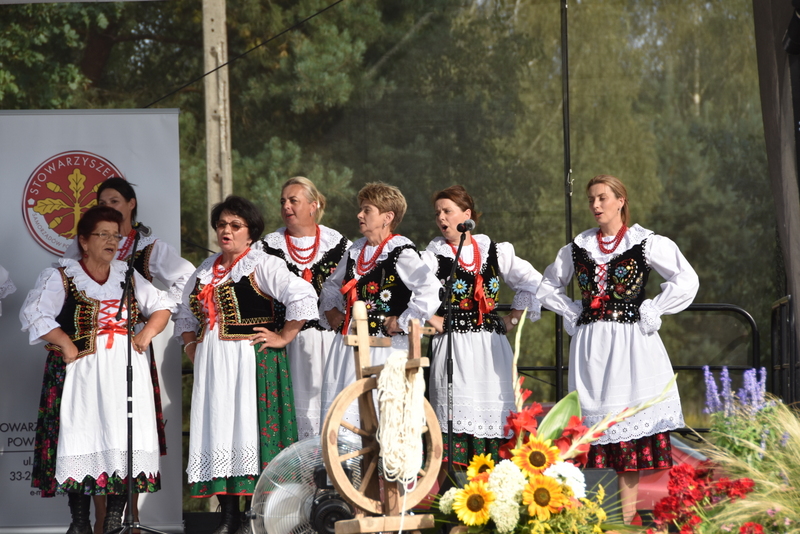20 DSC 0081 Święto Powiśla Dąbrowskiego   Dożynki Powiatowe i Targi Gospodarcze   relacja
