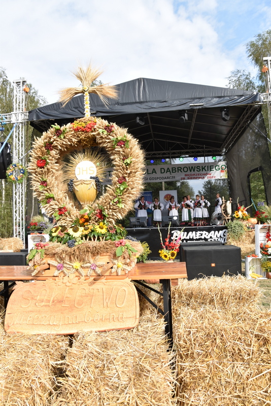 21 DSC 0083 Święto Powiśla Dąbrowskiego   Dożynki Powiatowe i Targi Gospodarcze   relacja