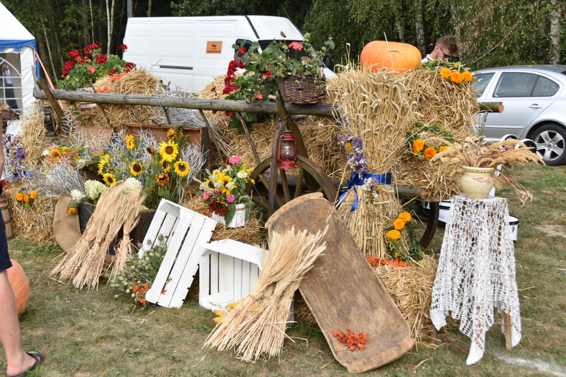 24 DSC 0096 Święto Powiśla Dąbrowskiego   Dożynki Powiatowe i Targi Gospodarcze   relacja
