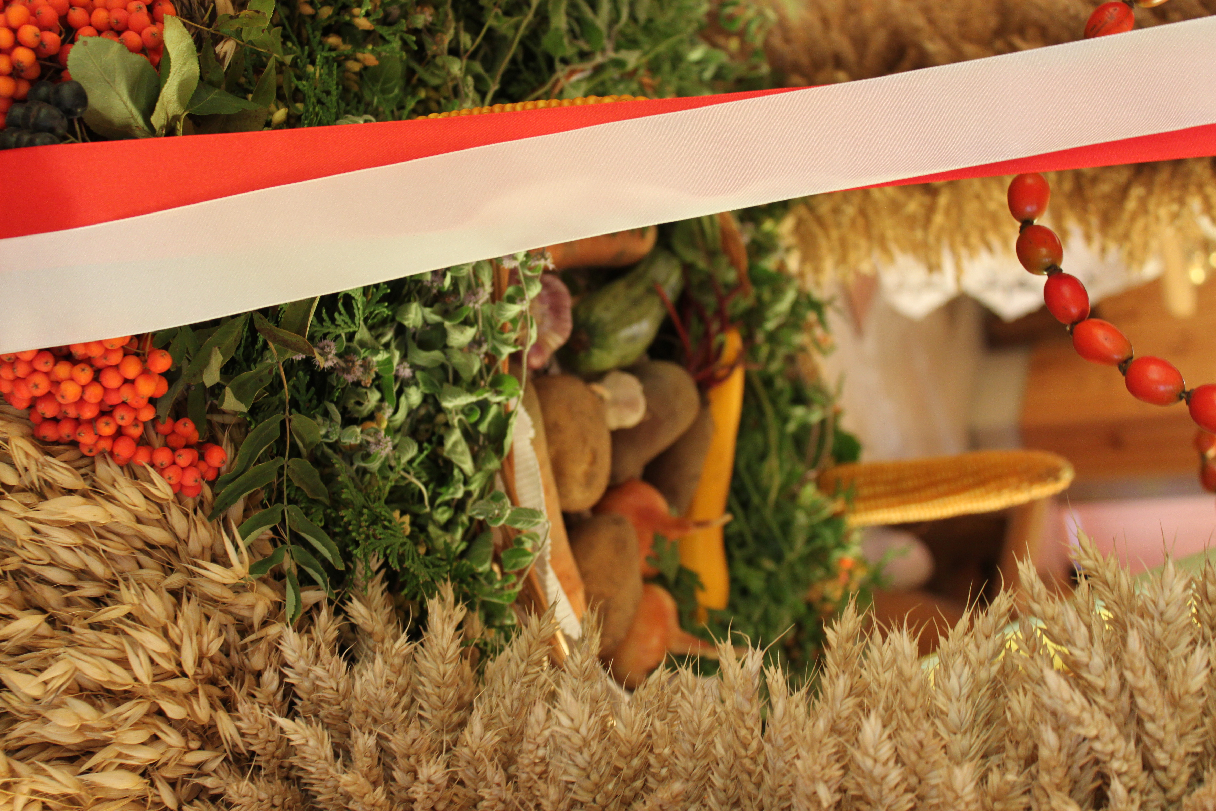 IMG 6992 Dożynki wiejskie w sołectwie Brnik