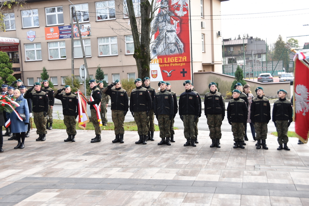 064 DSC 0378 Dąbrowa uczciła 104. rocznicę odzyskania niepodległości przez Polskę