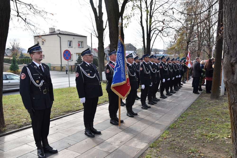 077 DSC 0411 Dąbrowa uczciła 104. rocznicę odzyskania niepodległości przez Polskę