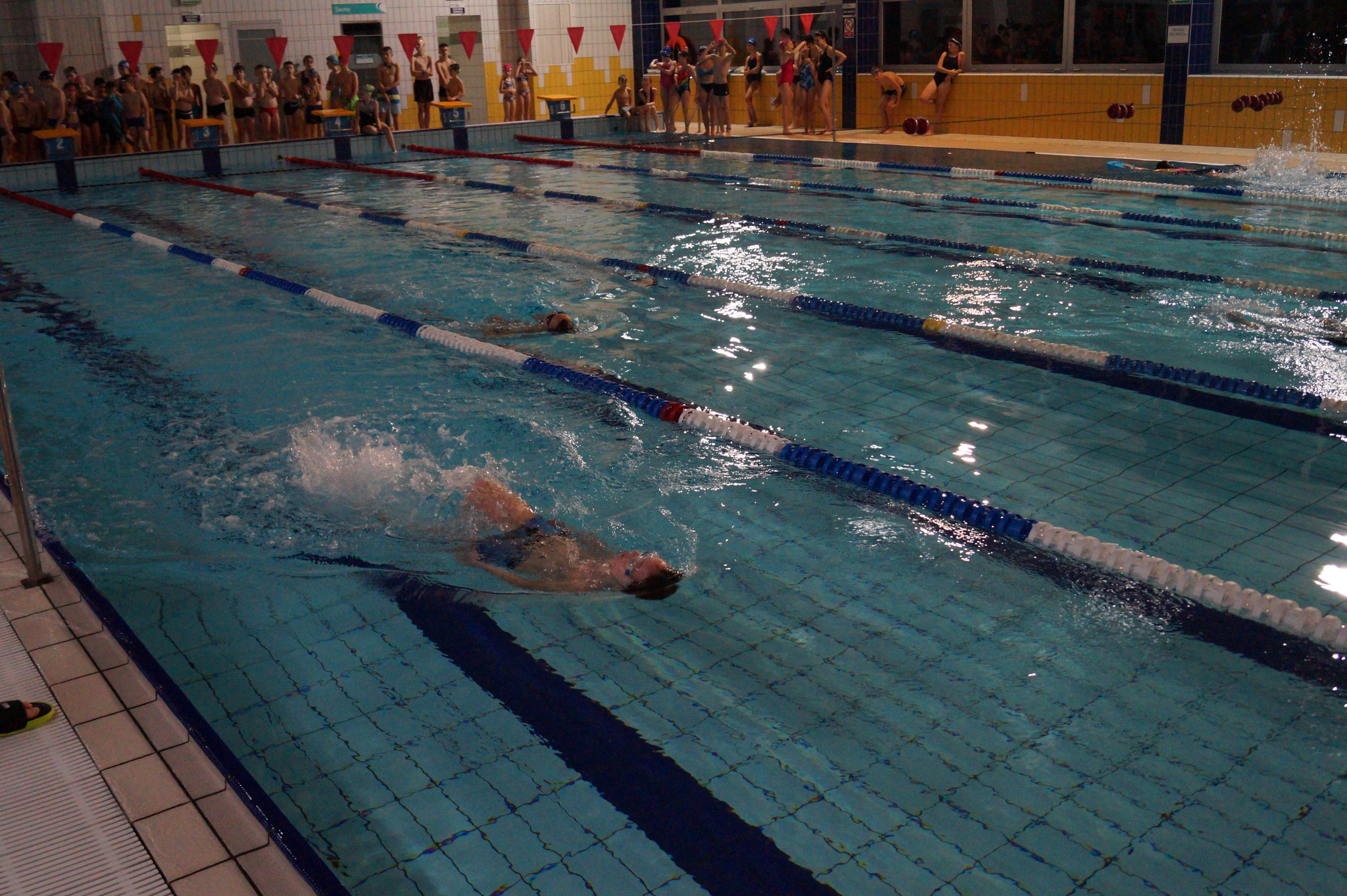 322714650 8938941482814759 7443618204358010124 n Mikołajkowe Zawody Pływackie