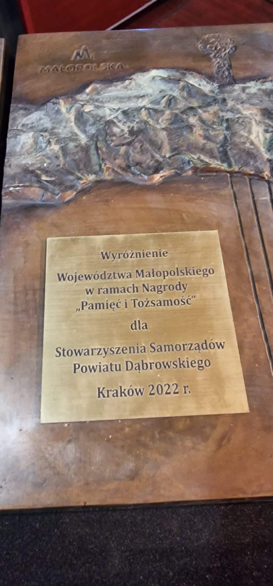 67c2f831 c496 48c3 9b75 8789868c3a37 Nagroda ,,Pamięć i Tożsamość” trafiła do Stowarzyszenia Samorządów Powiatu Dąbrowskiego