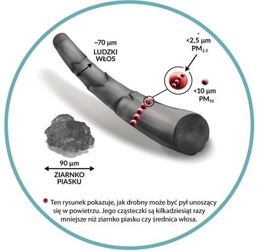 czysre Badamy jakość powietrza wspólnie z Krakowskim Alarmem Smogowym