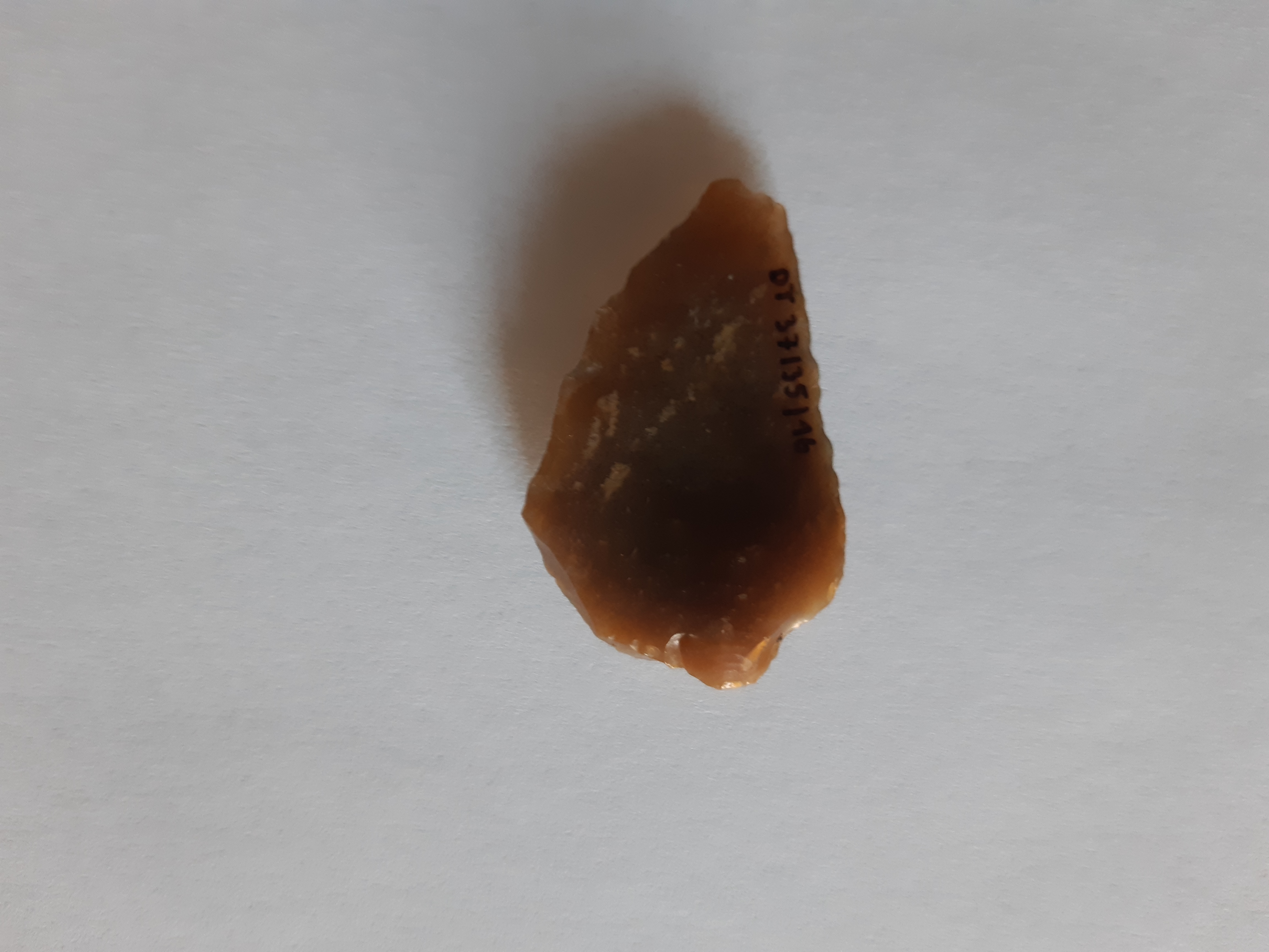 20230223 122557 EKSPONATY ARCHEOLOGICZNE ODKRYTE PODCZAS BUDOWY OBWODNICY DĄBROWY TRAFIĄ NA WYSTAWĘ DO OŚRODKA SPOTKANIA KULTUR