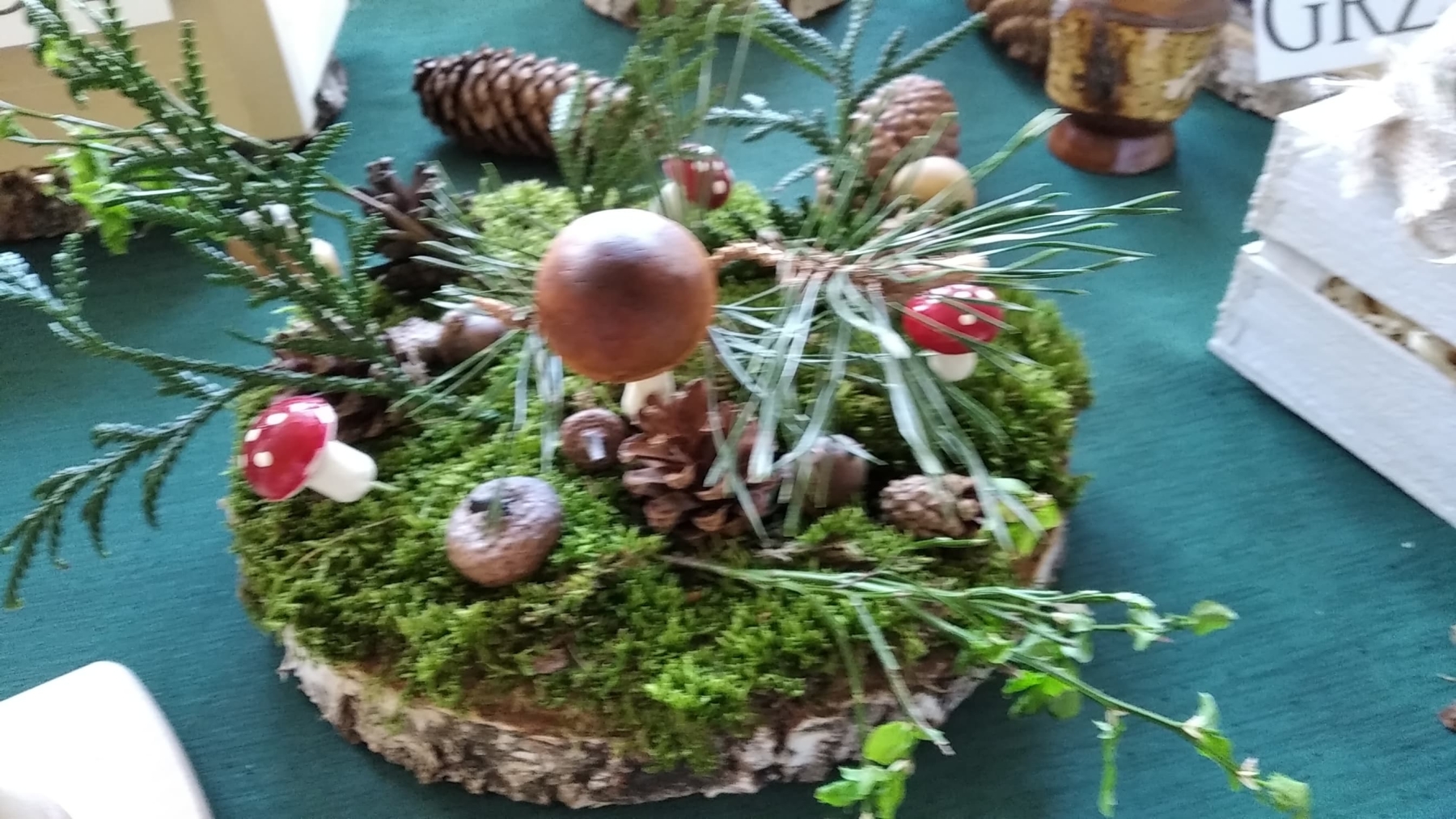 339823723 754627556287118 6112113130487192118 n Stowarzyszenie Kobiet Wsi Smęgorzów realizuje projekt „Dobrze znamy leśne skarby”