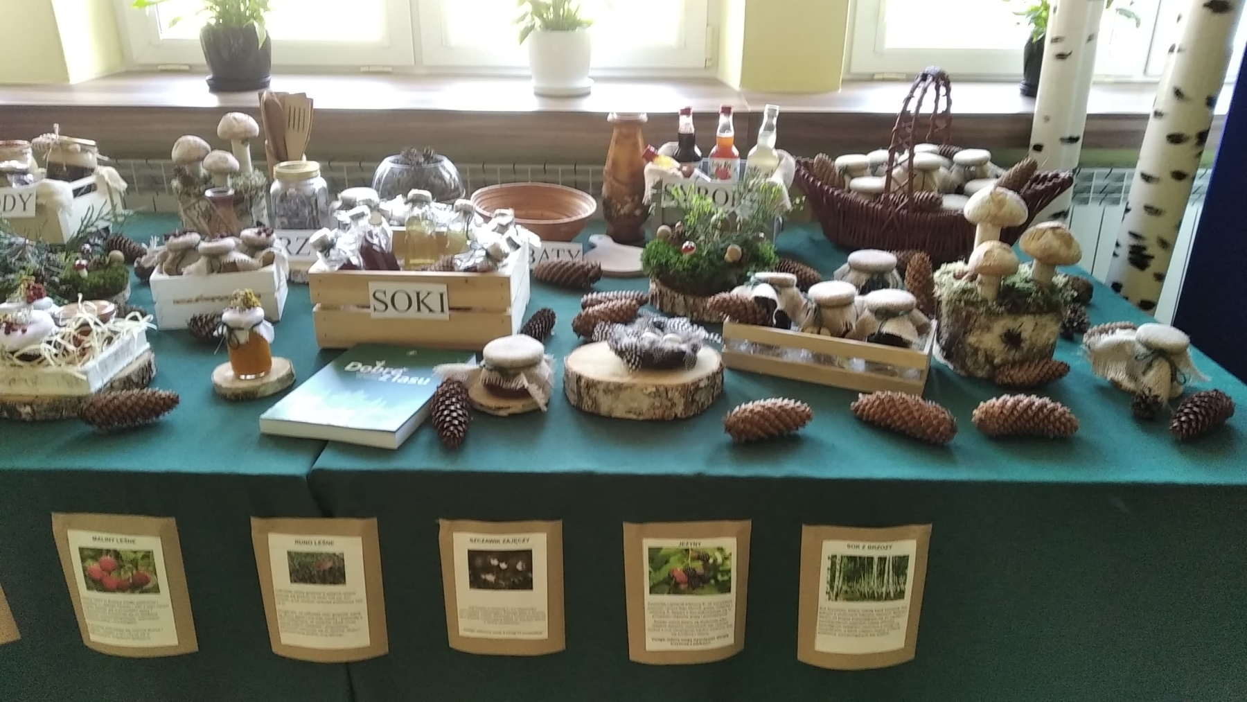 340472751 136389919411541 6921355334261797780 n Stowarzyszenie Kobiet Wsi Smęgorzów realizuje projekt „Dobrze znamy leśne skarby”