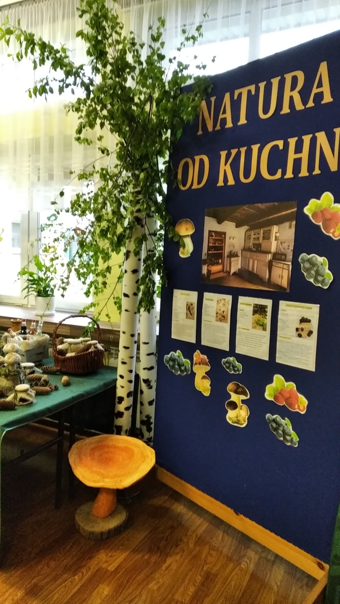 340480183 2481302448692993 8420334260405928383 n Stowarzyszenie Kobiet Wsi Smęgorzów realizuje projekt „Dobrze znamy leśne skarby”