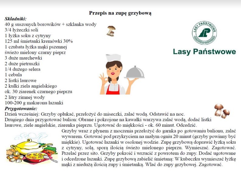 Zrzut ekranu 2023 04 30 123918 Stowarzyszenie Kobiet Wsi Smęgorzów realizuje projekt „Dobrze znamy leśne skarby”