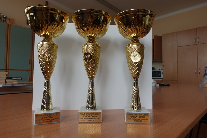 02 DSC02162 Piknik rodzinny w Smęgorzowie