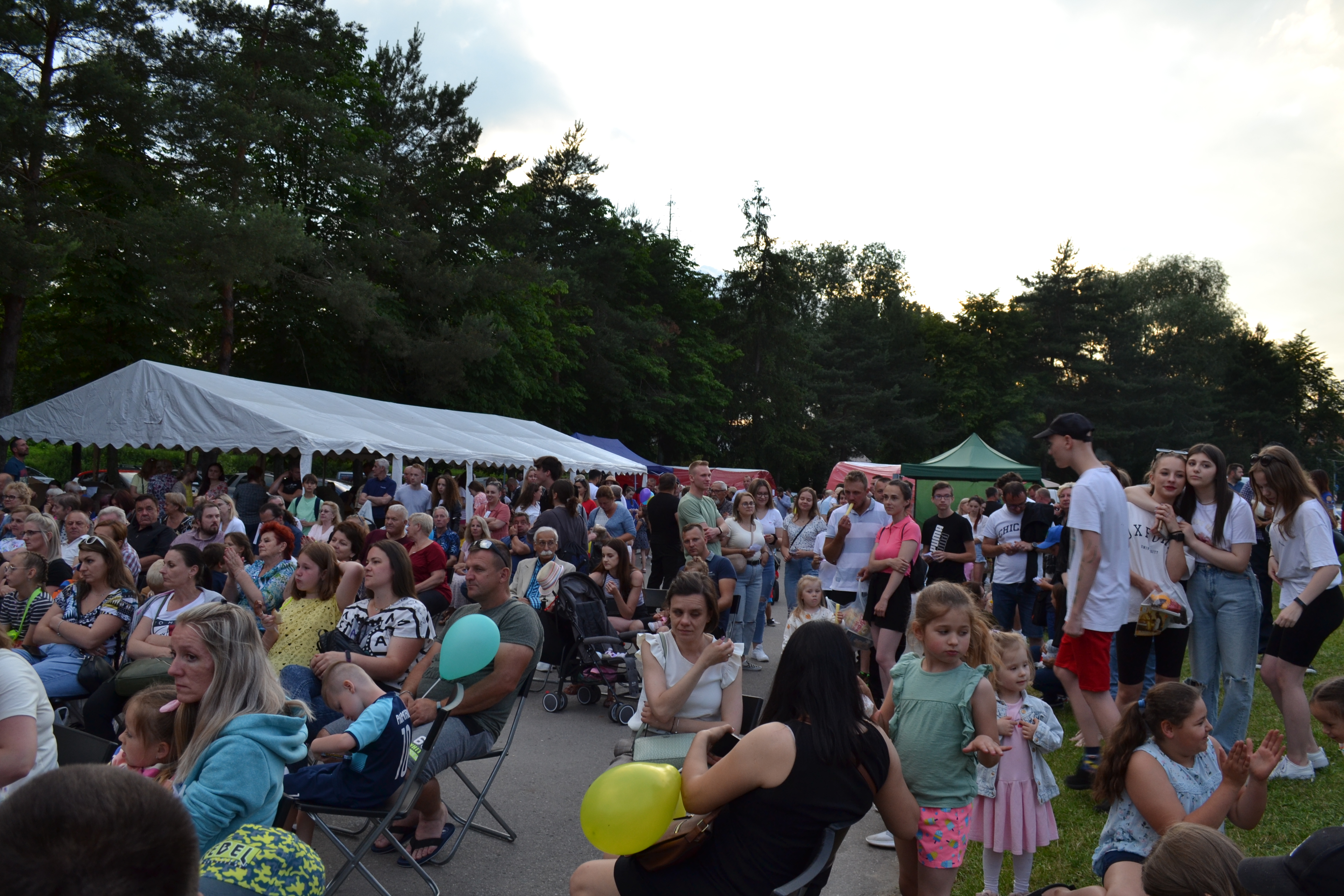 DSC 1112 ,,Dobro. Im więcej go dajesz tym więcej dostajesz . XII Charytatywny Festyn ,,Pomocnej Dłoni