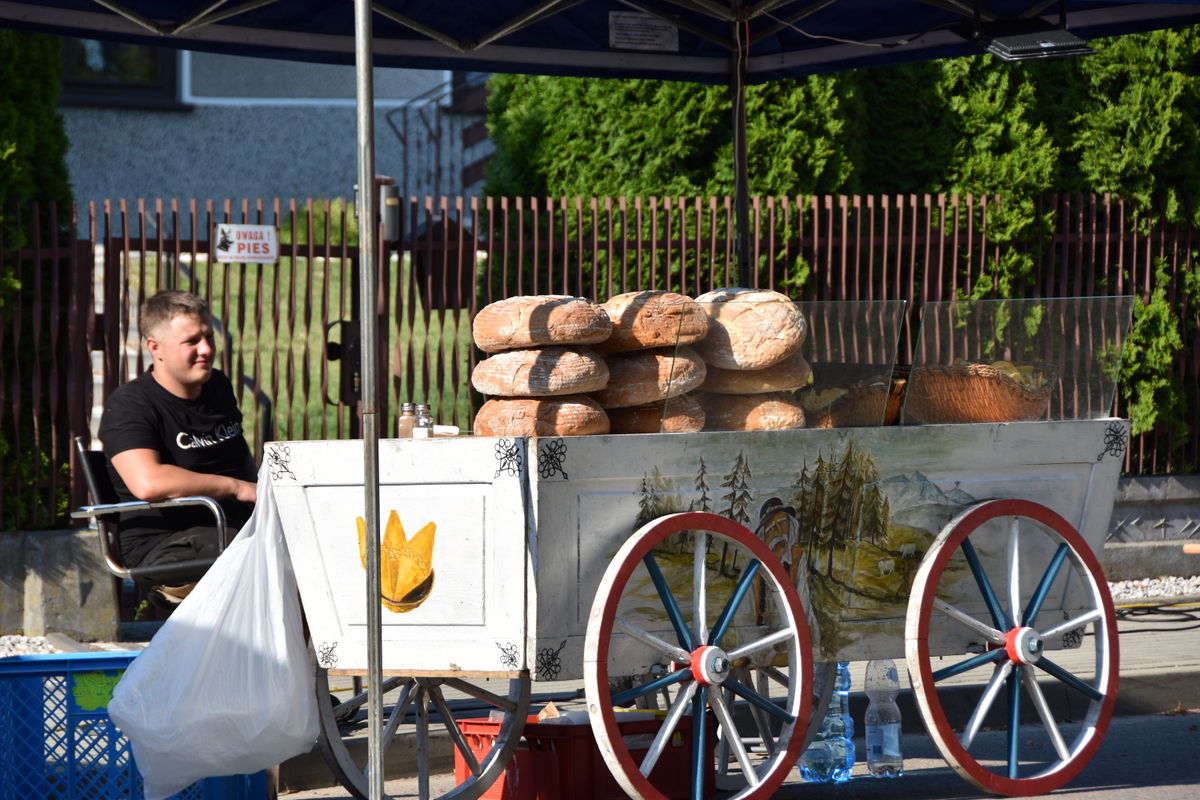 10 DSC 0478 PODSUMOWANIE DNI DĄBROWY TARNOWSKIEJ 2023