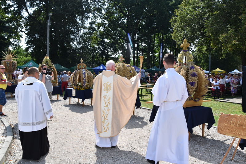 039 DSC 0838 Święto Plonów i Targi Gospodarcze na Powiślu Dąbrowskim