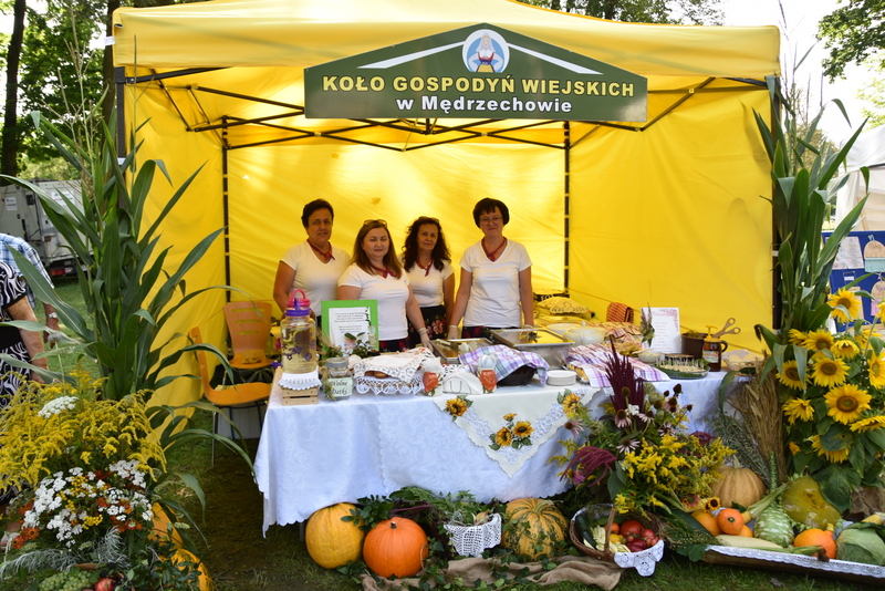 079 DSC 0901 Święto Plonów i Targi Gospodarcze na Powiślu Dąbrowskim