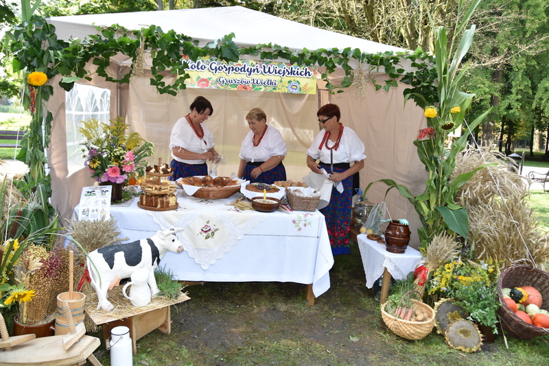 081 DSC 0906 Święto Plonów i Targi Gospodarcze na Powiślu Dąbrowskim