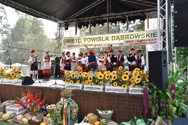 087 DSC 0946 Święto Plonów i Targi Gospodarcze na Powiślu Dąbrowskim