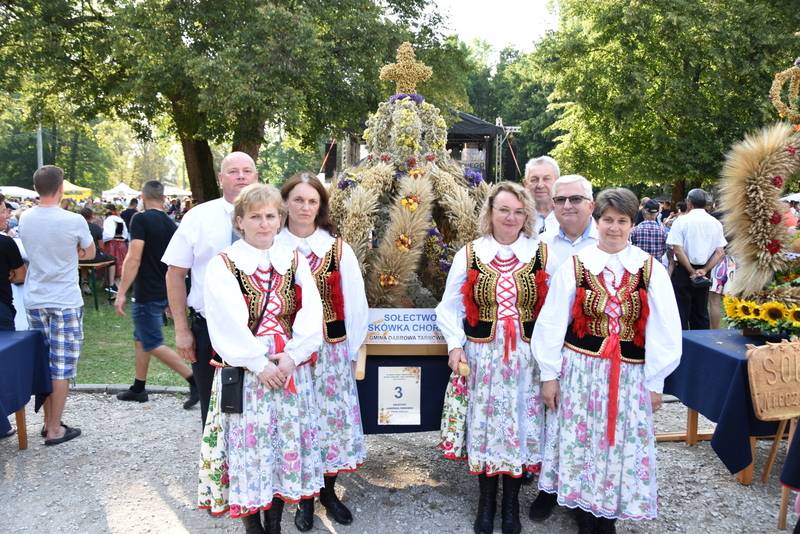 097 DSC 0985 Święto Plonów i Targi Gospodarcze na Powiślu Dąbrowskim