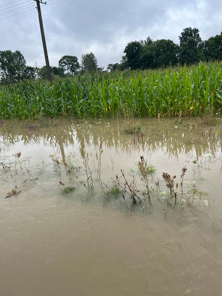 49e6f2b2 a248 4541 a4f0 633f2530e154 Skutki intensywnych opadów w Gminie Dąbrowa Tarnowska