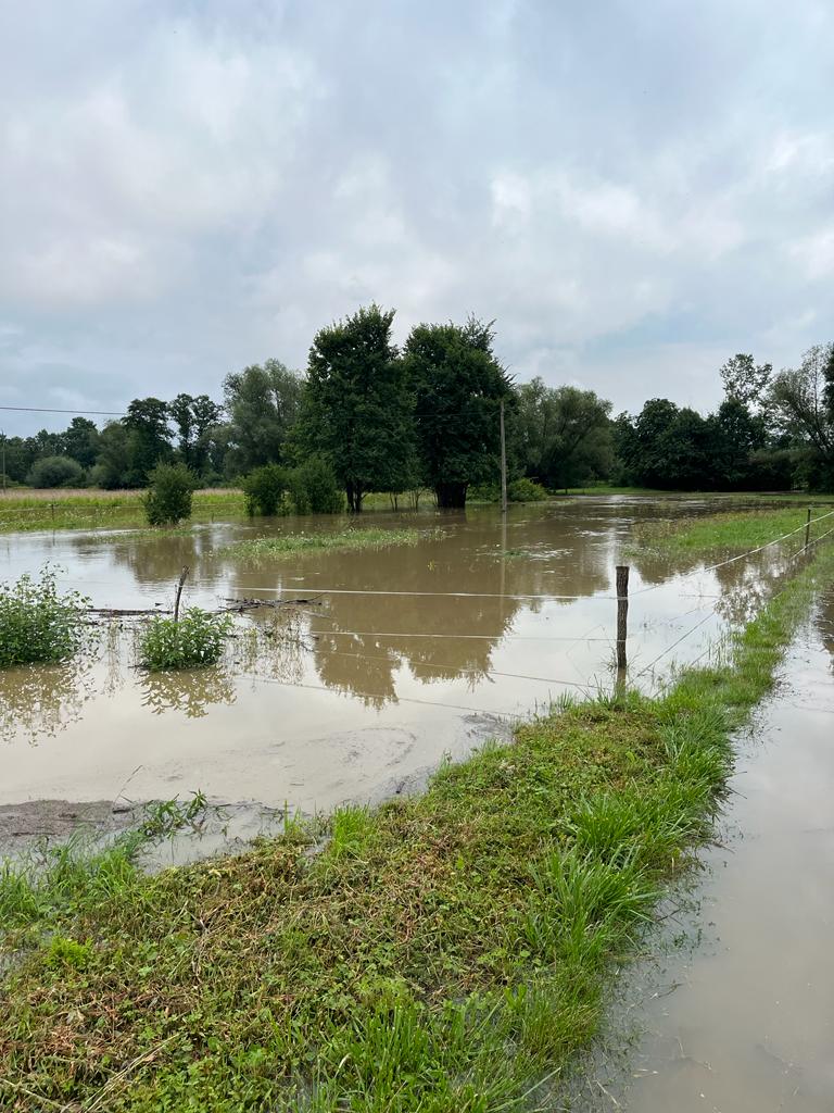 5041a930 07de 4a6d 8734 a272273e7b01 Skutki intensywnych opadów w Gminie Dąbrowa Tarnowska