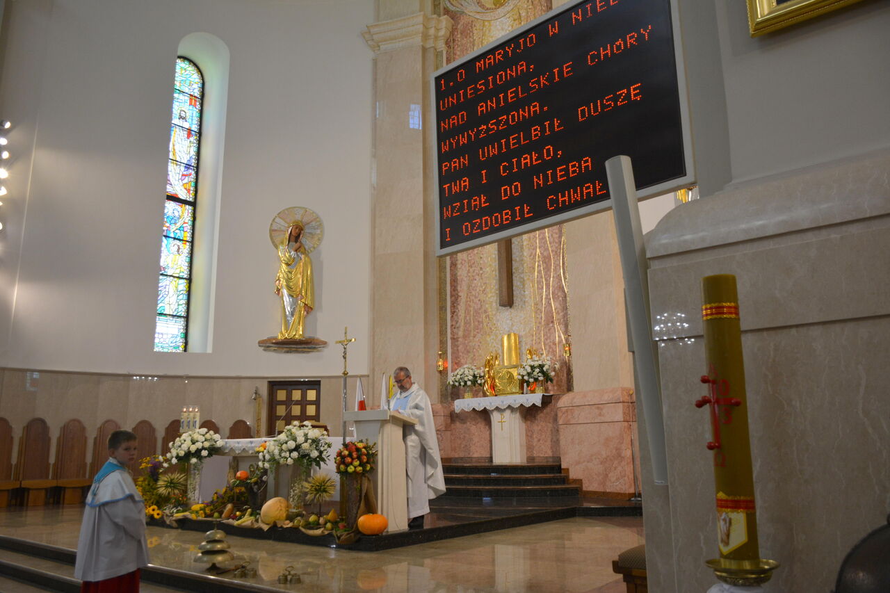 DSC 4478 Powiatowe obchody Święta Wojska Polskiego oraz 103. rocznicy Bitwy Warszawskiej