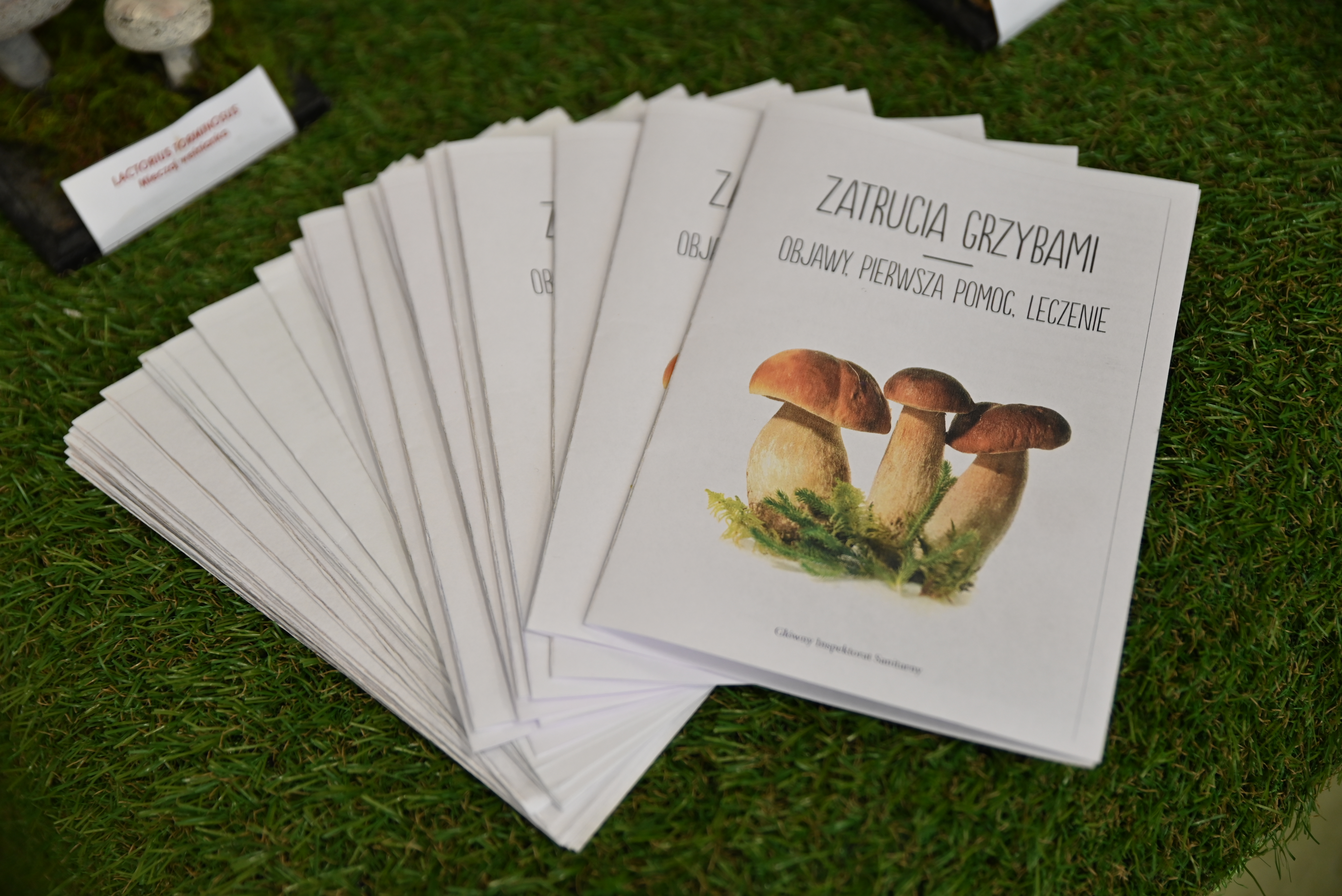 DSC 2037 Uroczyste otwarcie „Klasy z leśną duszą”