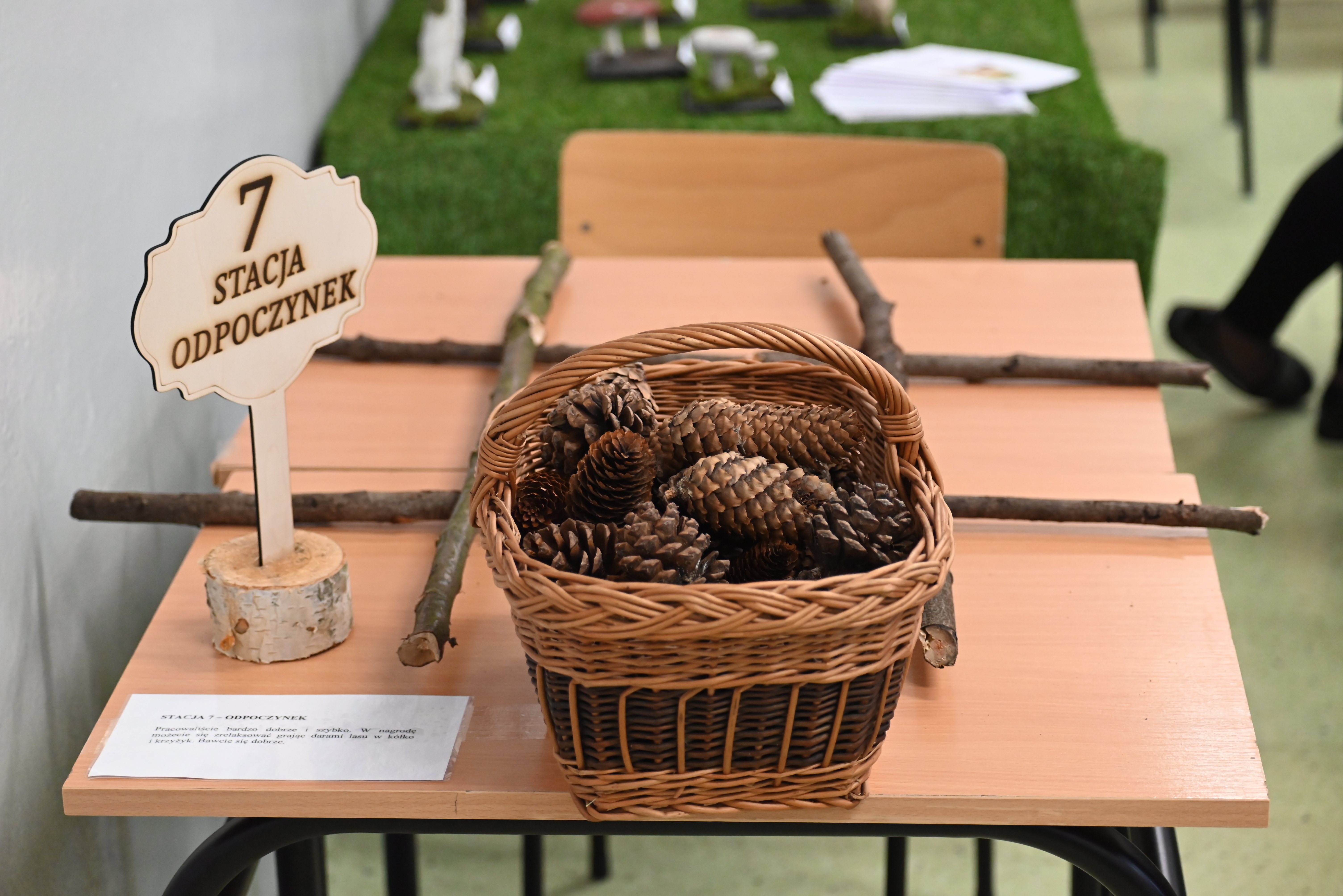 DSC 2073 Uroczyste otwarcie „Klasy z leśną duszą”