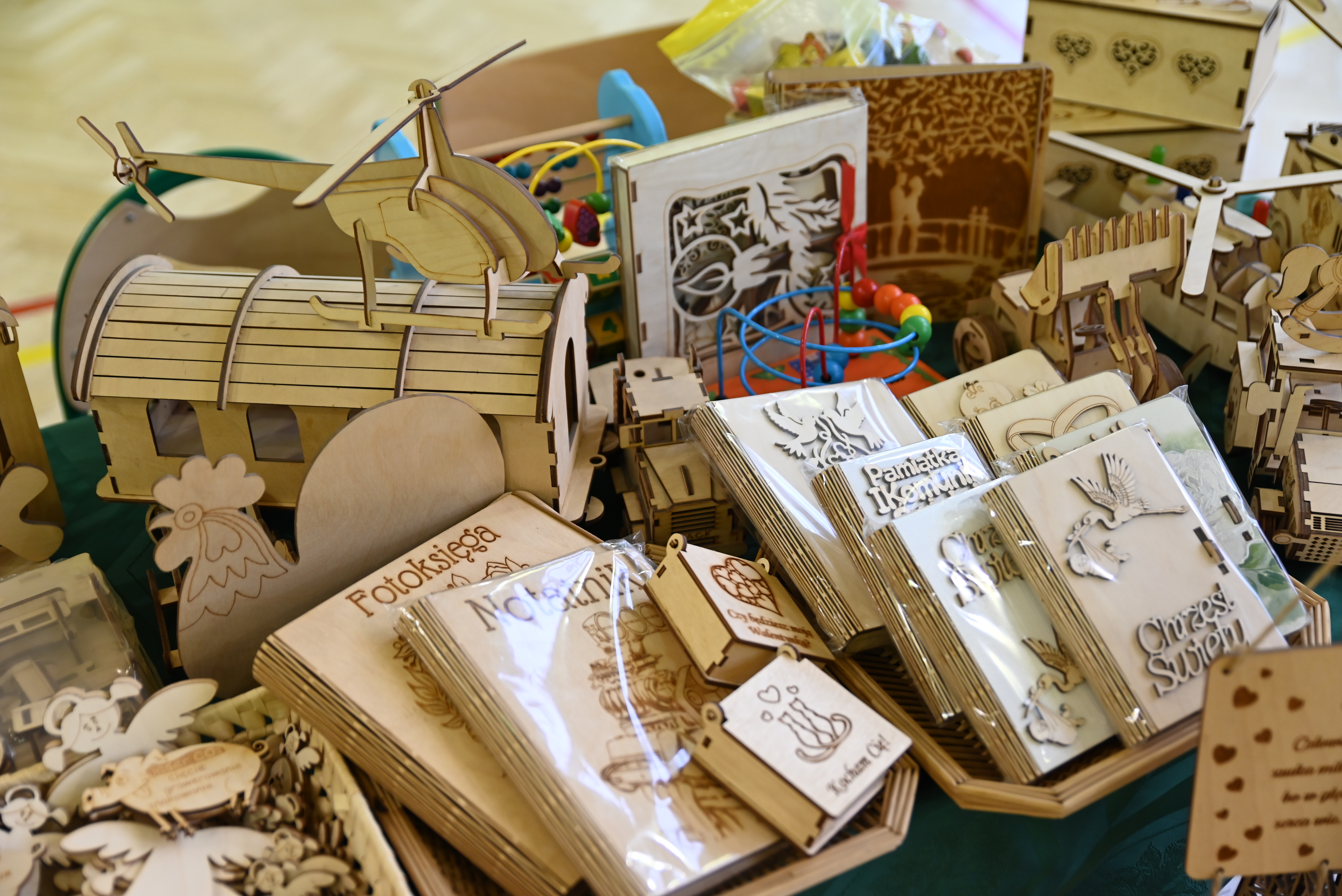 DSC 2095 Uroczyste otwarcie „Klasy z leśną duszą”