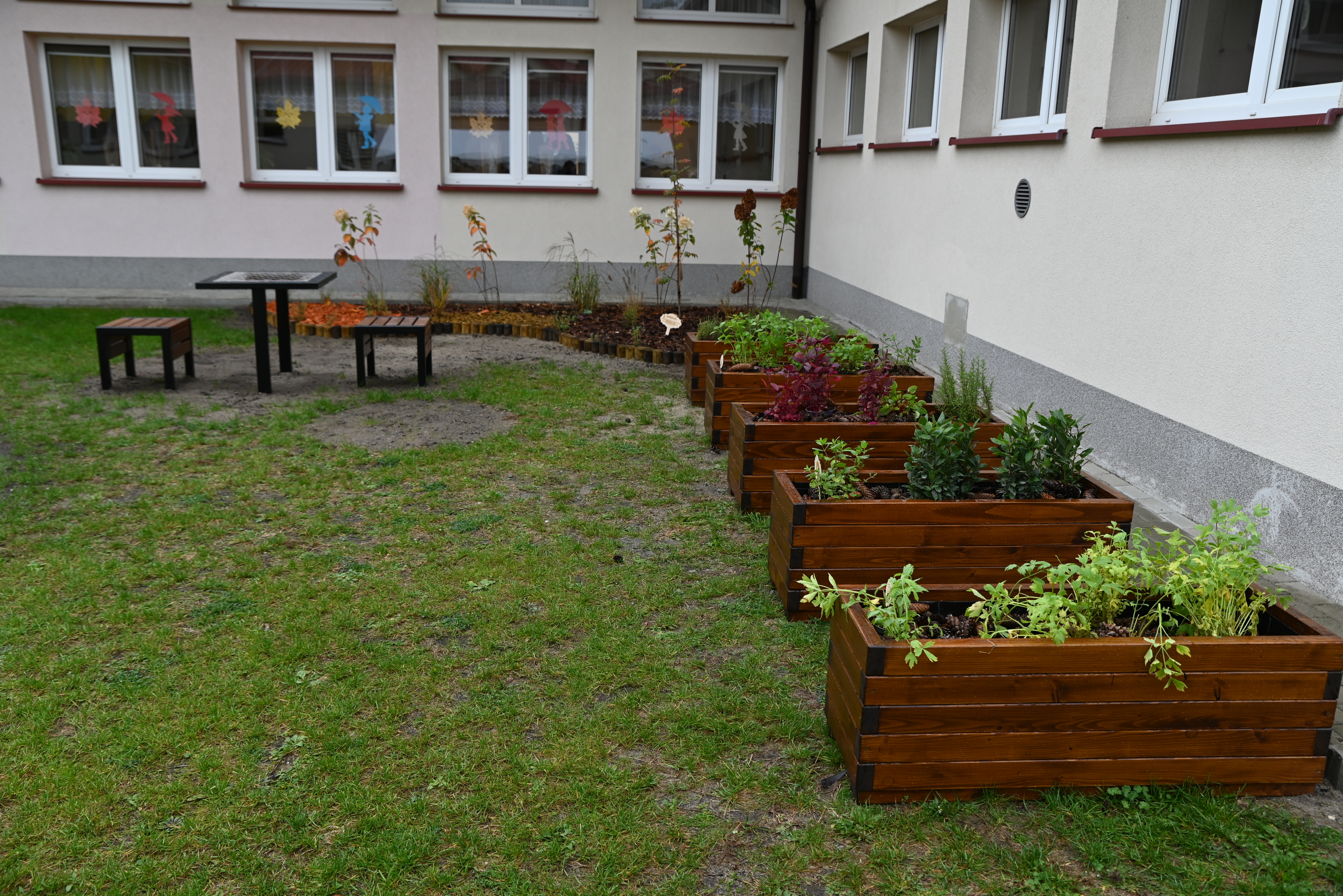 DSC 2123 Uroczyste otwarcie „Klasy z leśną duszą”