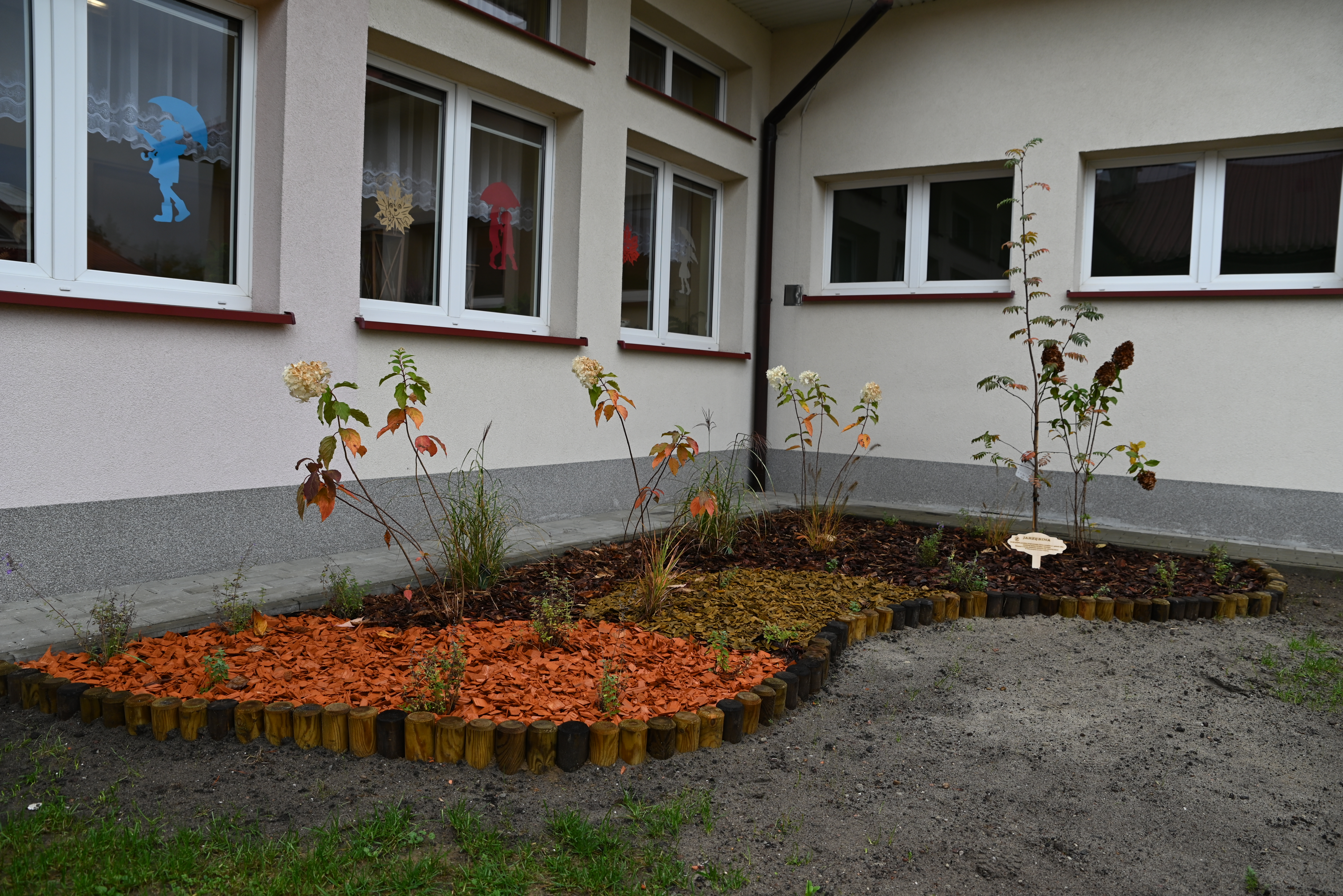 DSC 2125 Uroczyste otwarcie „Klasy z leśną duszą”