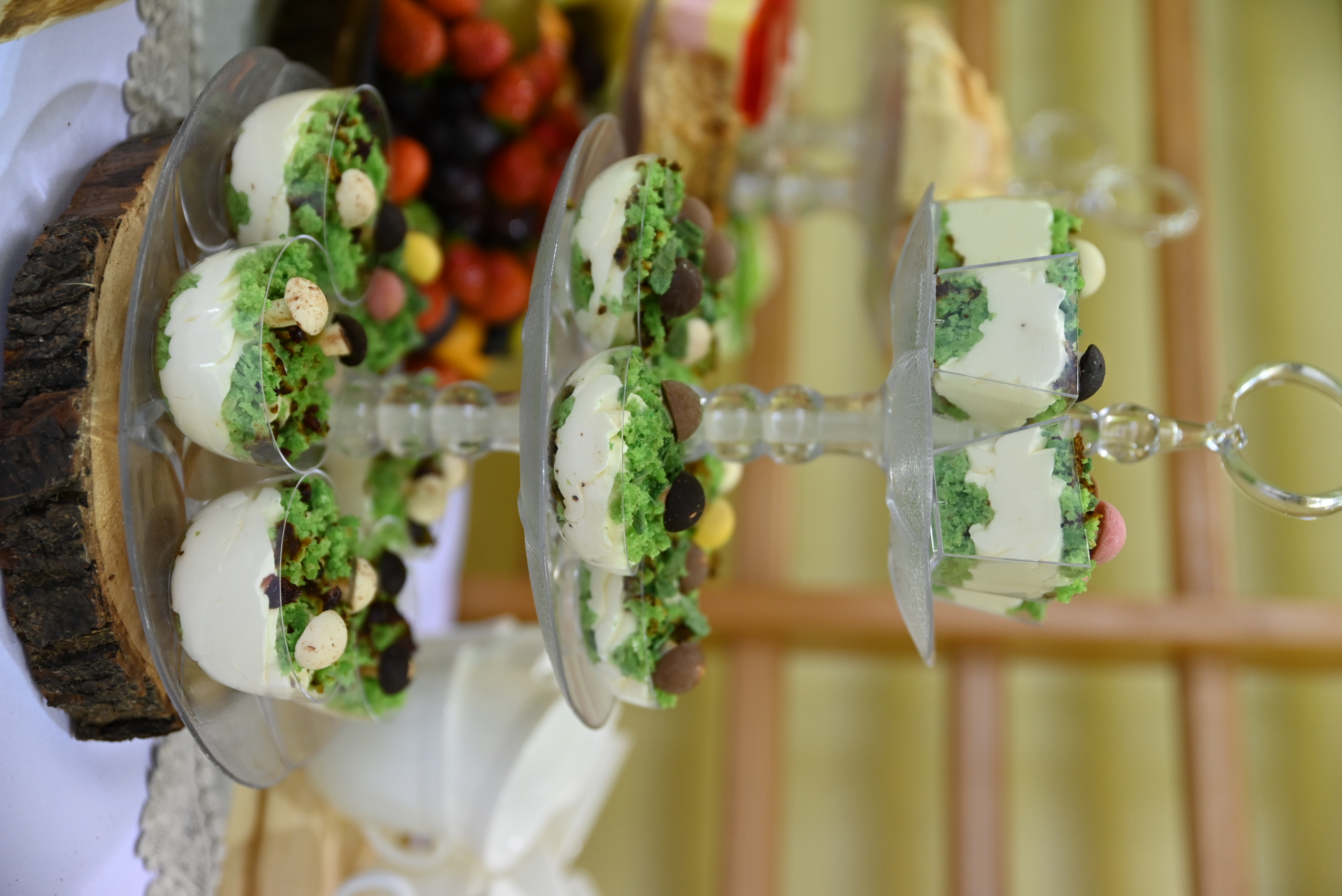 DSC 2138 Uroczyste otwarcie „Klasy z leśną duszą”