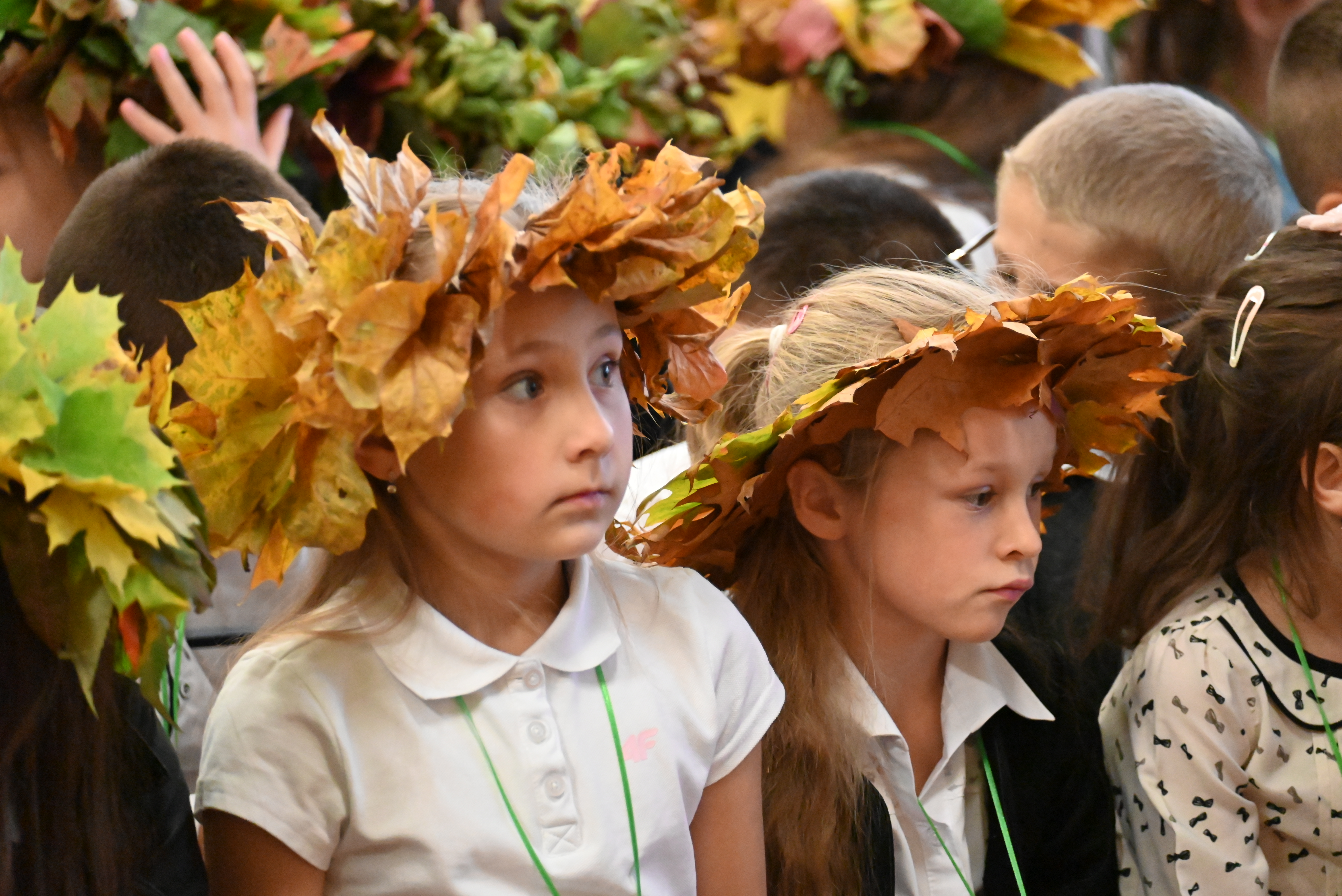 DSC 2143 Uroczyste otwarcie „Klasy z leśną duszą”