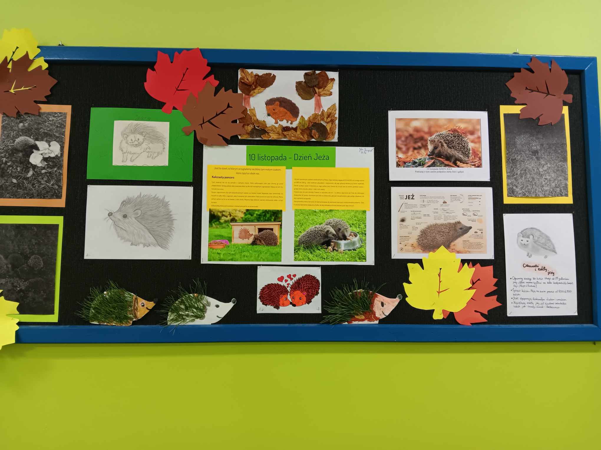 SP Dzień Jeża