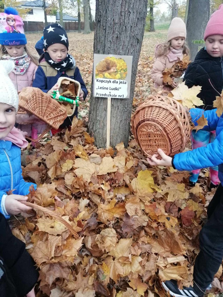 p1.1 Dzień Jeża