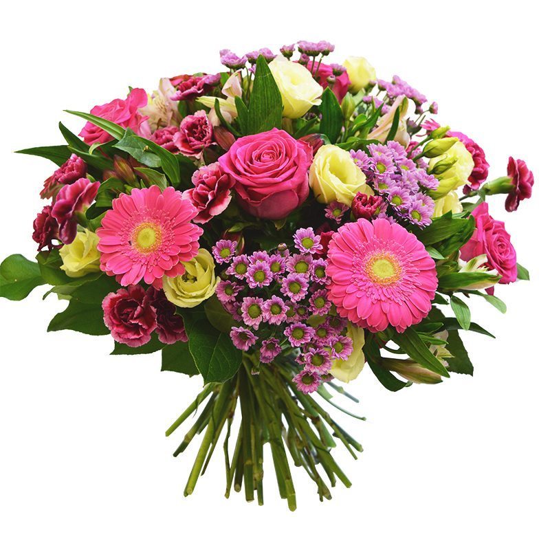 rozowy blask Światowy Dzień Seniora – 14 listopada