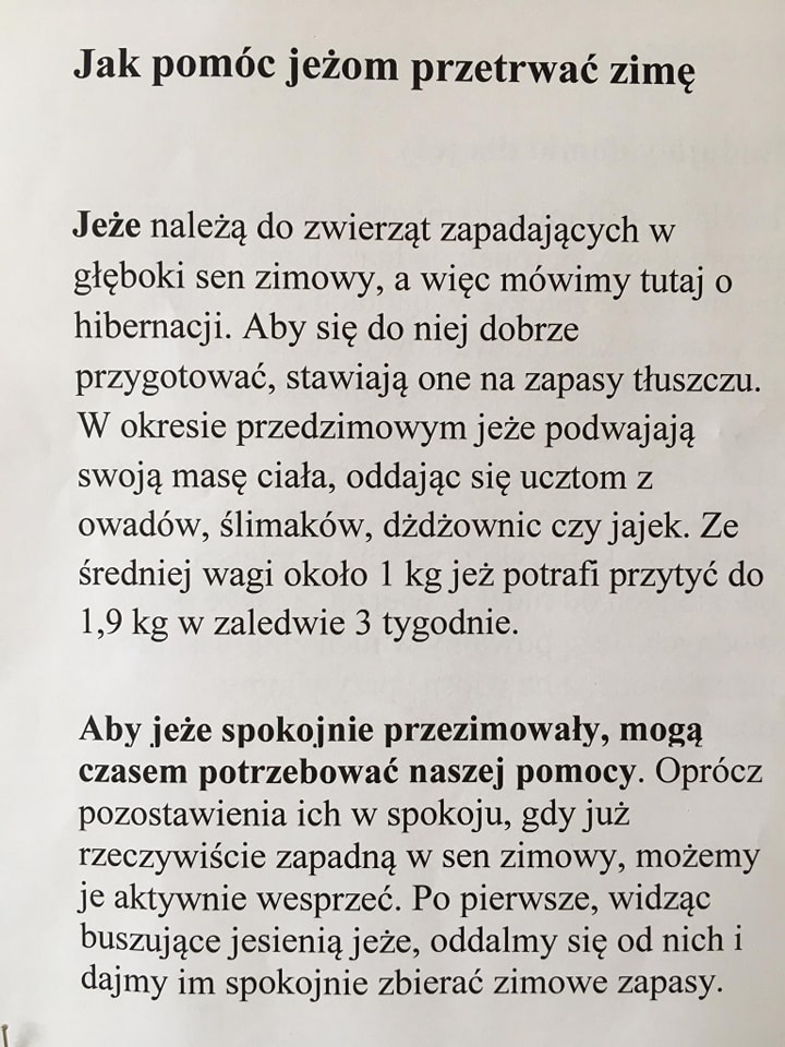 sp2.6 Dzień Jeża
