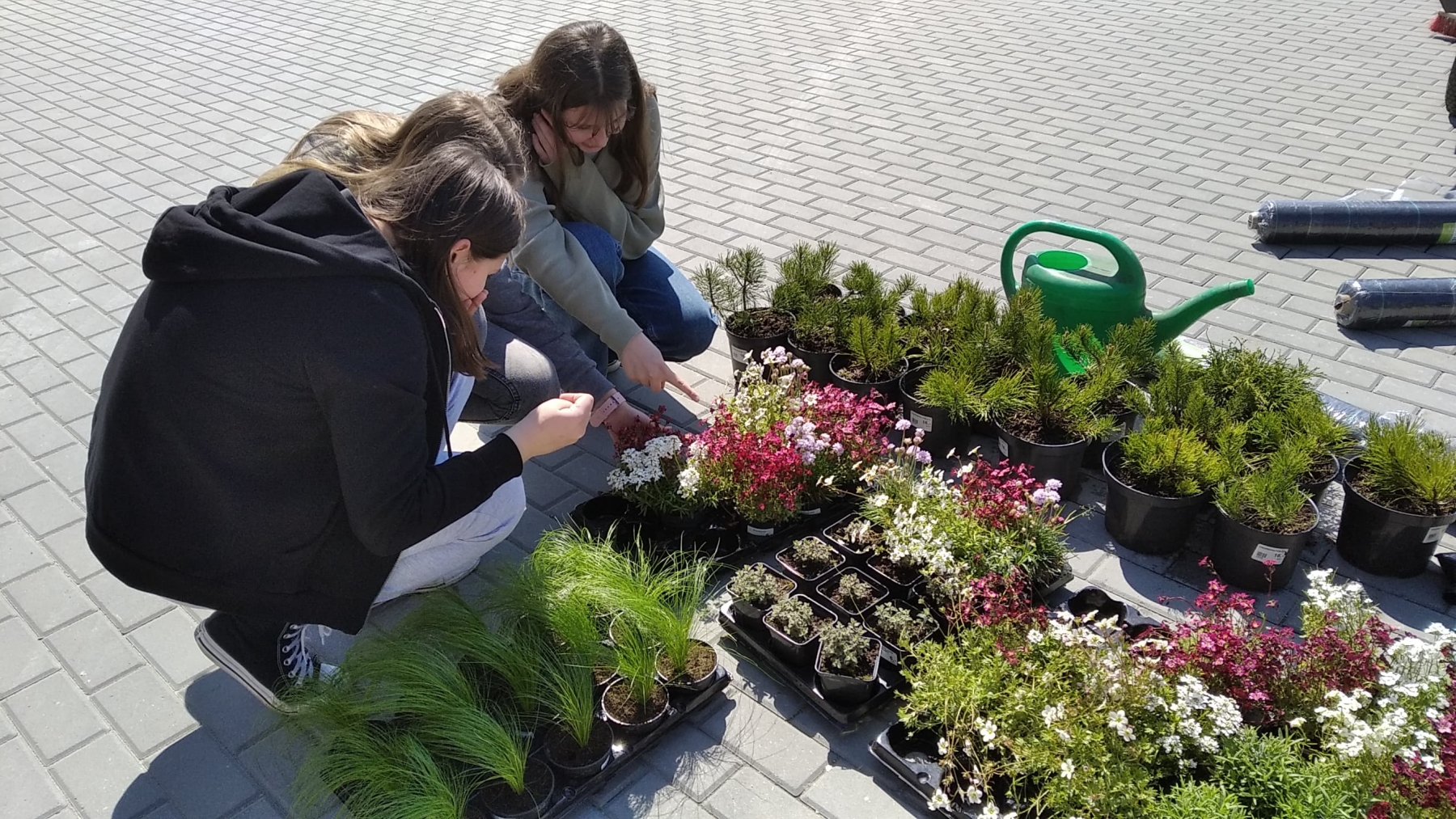 340721847 6909686765727407 594790982410268042 n Działania ekologiczne w Smęgorzowie